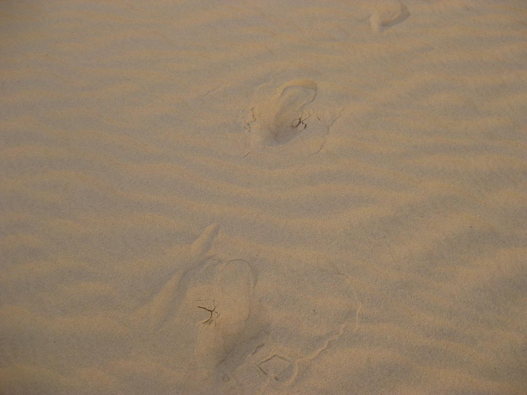 i/Family/Djerba/Safari - Djerba 2009 204.jpg